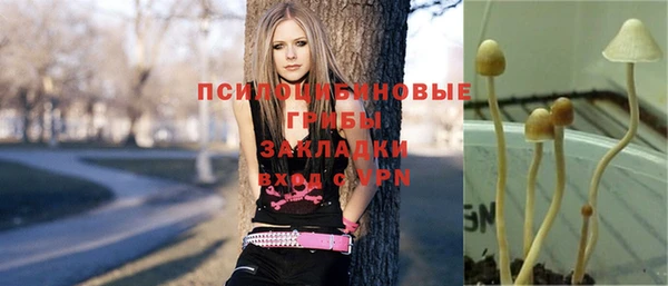 стафф Зерноград