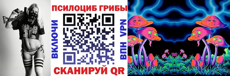 Псилоцибиновые грибы мухоморы  Купить где  Кировск 